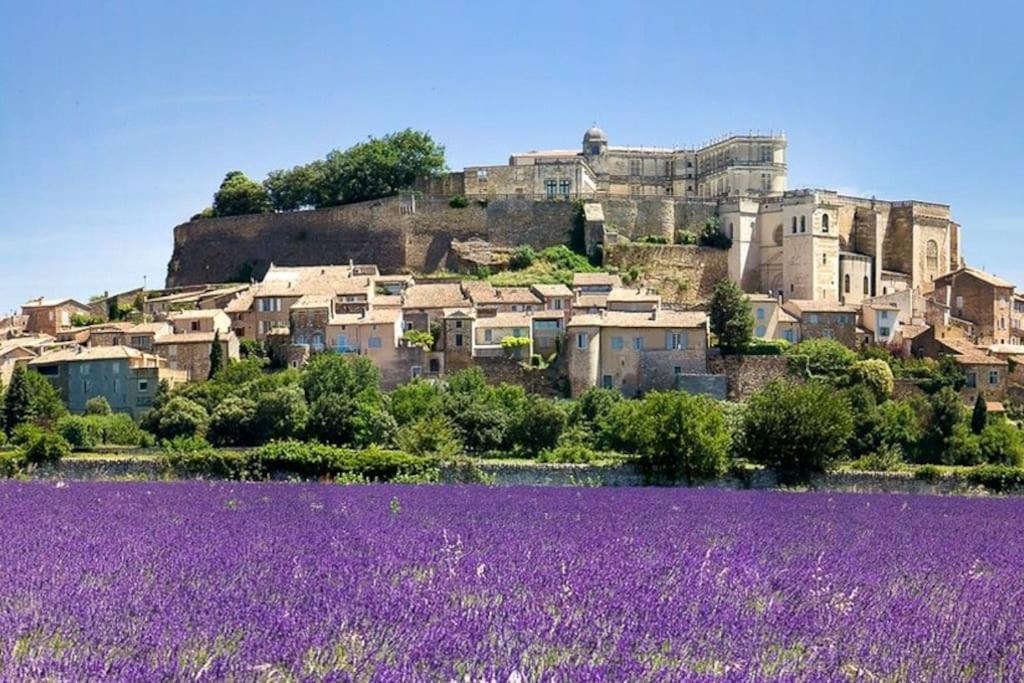 Maison De Ville Châteauneuf-du-Rhône Exterior foto